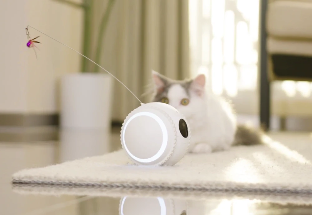 camera for pet photography